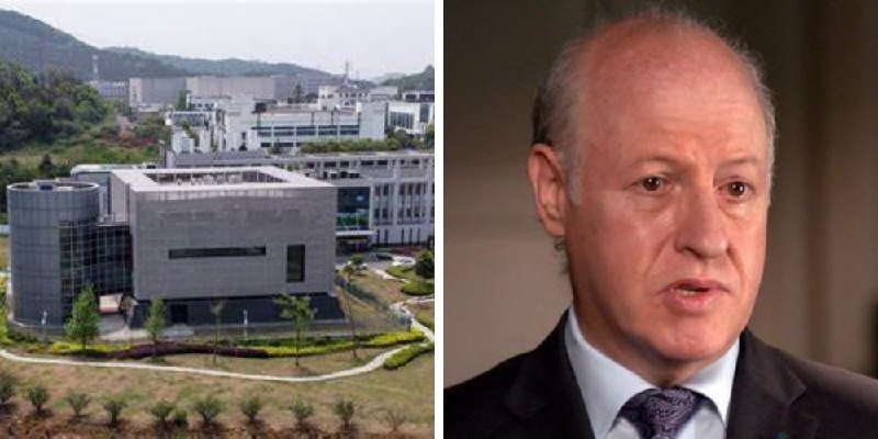 WHO researcher investigating origins of COVID-19 worked with Wuhan lab for 18 years, received money from China