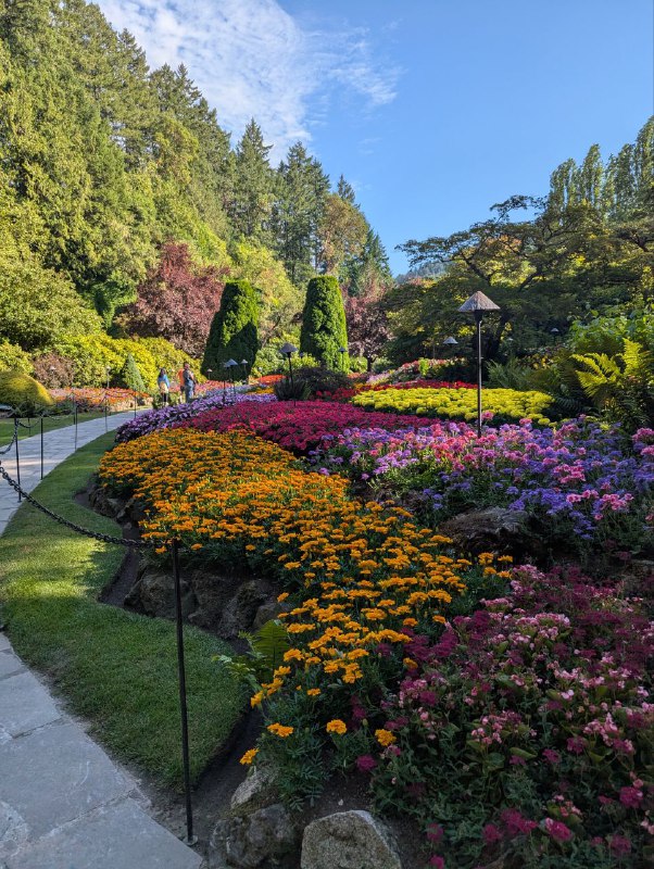 趁着BC Day长周末去了趟BC首府，天气好，景色美，生活慢悠悠，真是非常令人放松！最大的惊喜是Sidney小镇和Langford的一个日式小餐馆